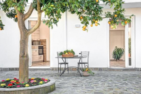 The Orange Country Home